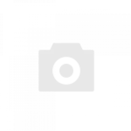 Kolkata Knight Riders Claim IPL 2024 Title as Shah Rukh Khan Celebrates with Family